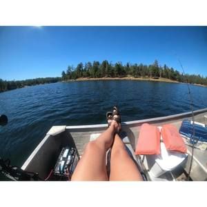 Meet your Posher, Shawndene